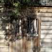 Vinette wood and shadow